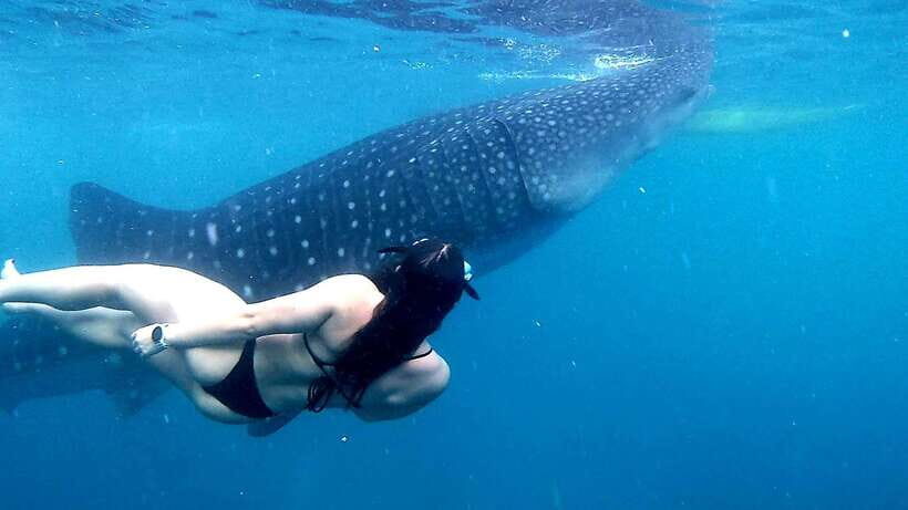 Cebu: Whale Sharks, Ka-Treasure Water Terraces & Simala Tour - Practical Tips That Make the Day Feel Easier