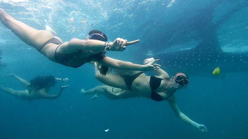 Cebu: Whale Sharks, Ka-Treasure Water Terraces & Simala Tour - The Silog Breakfast Stop: A Real Benefit, Not Just a Break