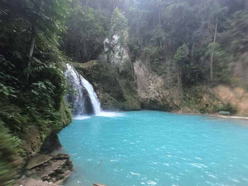 Cebu: Whale Sharks, Kawasan Falls, & Sardines Run Snorkeling - The whale-shark morning in Oslob: why you’ll feel it in your bones