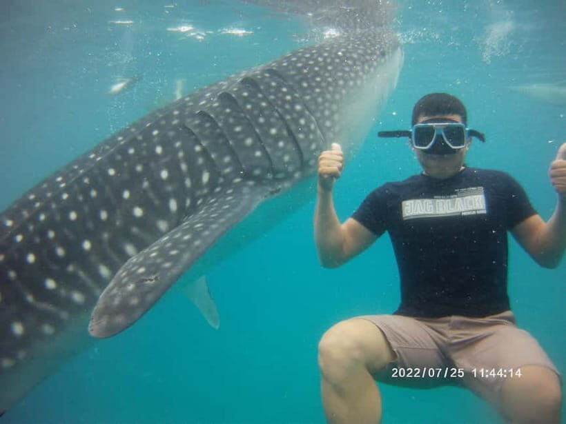 Cebu: Whale Sharks, Kawasan Falls, & Sardines Run Snorkeling - What to bring so you’re comfortable at all three stops