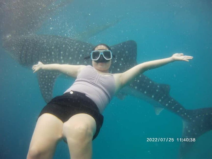 Cebu: Whale Sharks, Kawasan Falls, & Sardines Run Snorkeling - The optional canyoneering add-on at Kawasan: worth it if you’re game