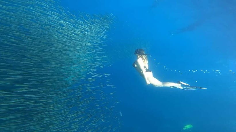 Cebu: Whale Sharks, Kawasan Falls, & Sardines Run Snorkeling - Kawasan Falls: the best kind of reset between the ocean and the reef