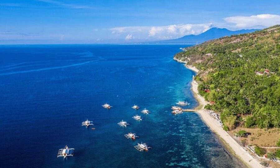 Cebu: Whale Sharks, Tumalog Falls, and Monkey Sanctuary Tour - Monkey sanctuary stop: conservation focus with real interaction