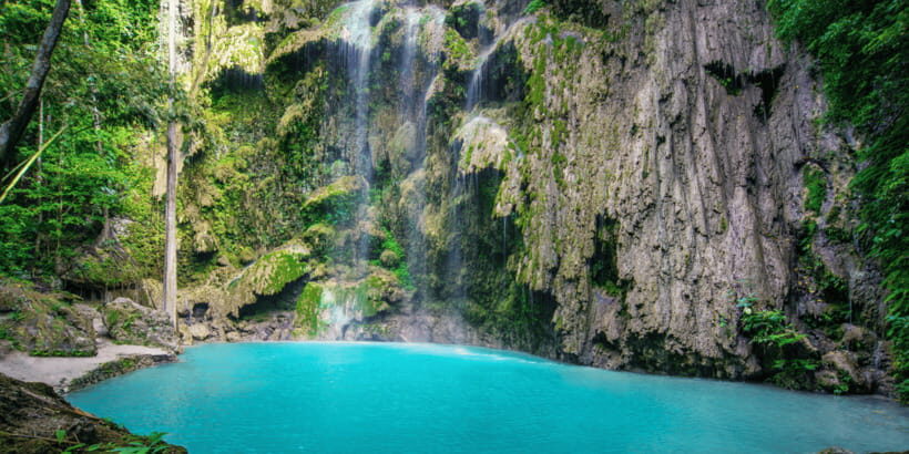 Cebu: Whale Sharks, Tumalog Falls, and Monkey Sanctuary Tour - Who should book this tour (and who should think twice)