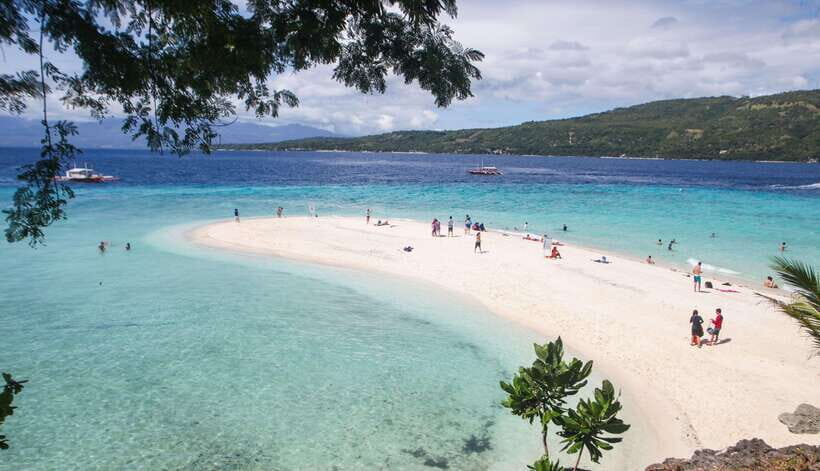 Cebu: Whaleshark Encounter, Tumalog Falls & Sumilon Sandbar - Sumilon Island and the Sandbar: Snorkel Time Plus Beach Time That Delivers