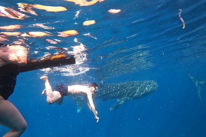Cebu Whaleshark Tour - Tumalog Falls: A Refreshing Reset on the Return