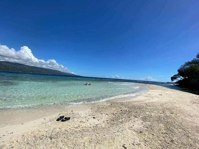 Cebu: Whalesharks, Sumilon Sandbar & Tumalog Falls Tour - Transport and Overall Value: Is $119 Fair for What You Get?