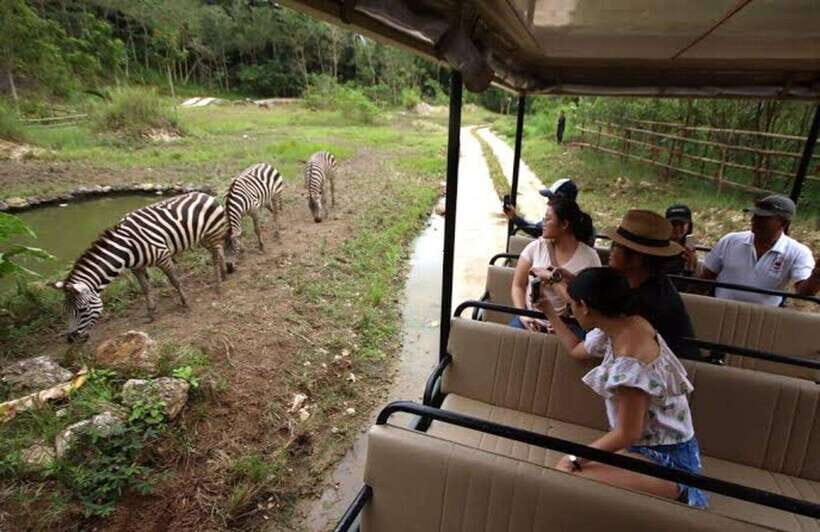 Cebu:Cebu Safari Adventure Park Day Trip - Up close with animals: encounters and feeding sessions (with expectations set)