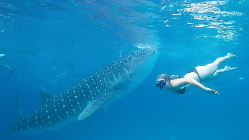 Cebu:Oslob Whale Shark Swimming & Kawasan Falls Canyoneering - What to pack (and what to plan for) so the day doesn’t annoy you