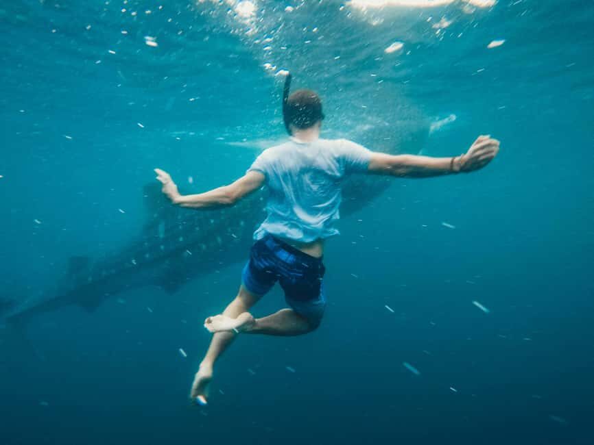 Cebu:Oslob WhaleSharkWatching,Kawasan Canyoneering - Key highlights worth planning for