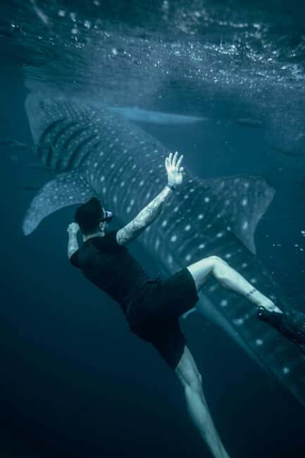 Cebu:Oslob WhaleSharkWatching,Kawasan Canyoneering - A long Cebu day, split between sunrise and the canyons