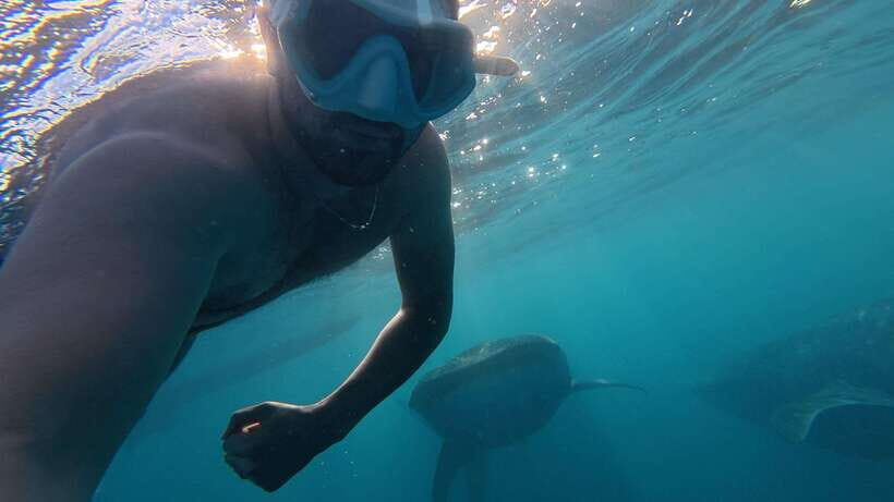 Cebu:Oslob WhaleSharkWatching,Kawasan Canyoneering - The road to Badian: why the transfers shape your whole schedule
