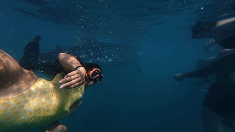 Cebu:Oslob WhaleSharkWatching,Kawasan Canyoneering - Small-group feel: how the day stays manageable