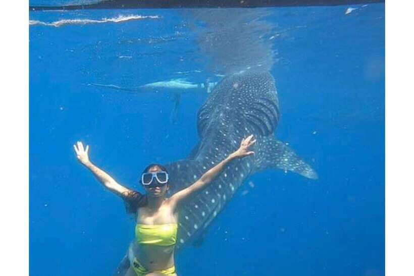 Cebu:Whale Shark, Waterfall, and Sardine Run Group Tour+Meal - Inambakan Falls: Swimming, Photos, and That 10-Meter Moment