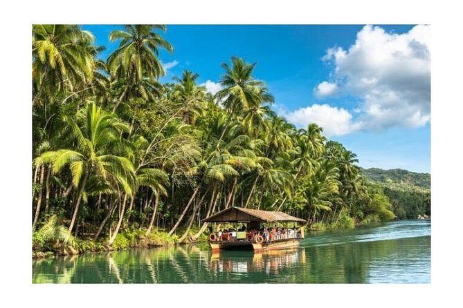 Chocolate hills tour with Tarsier & Loboc river Buffet Lunch (half-day tour) - Why this half-day Chocolate Hills and Loboc plan makes sense