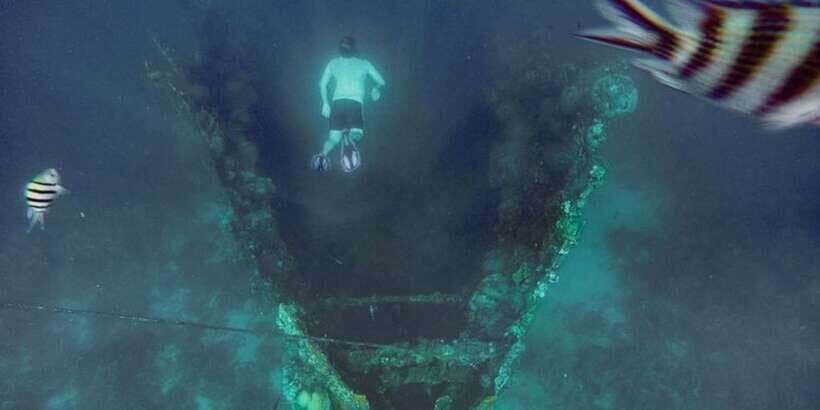 Coron: Barracuda Lake, Skeleton Wreck, Twin Lagoon Boat Tour - Stop 3: Reef Garden Snorkeling for Marine Life