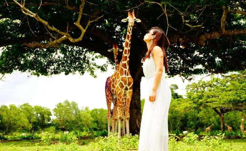 Coron: Calauit Safari Black Island Lunch & Transfer included - Calauit Safari: African wildlife on Palawan ground