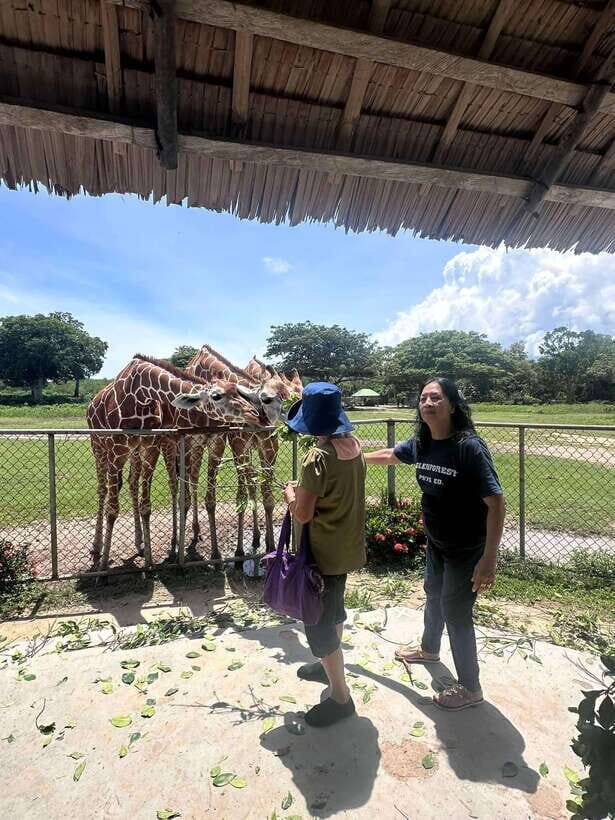 Coron: Calauit Safari Black Island Lunch & Transfer included - Malbato Church and a quick Busuanga taste