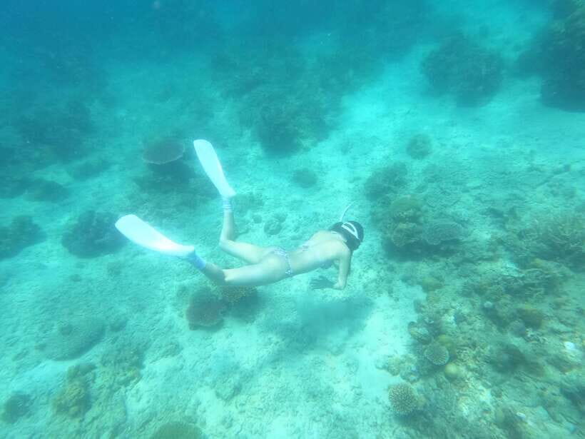 Coron: Dugong Watching with Sea Turtle and Coral Garden tour - Coron Dugong Snorkeling starts with sunrise timing and calm rules