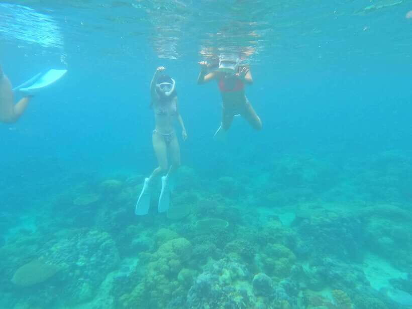 Coron: Dugong Watching with Sea Turtle and Coral Garden tour - Coron Town to Busuanga: van, boat ride, and why the queue is part of the deal