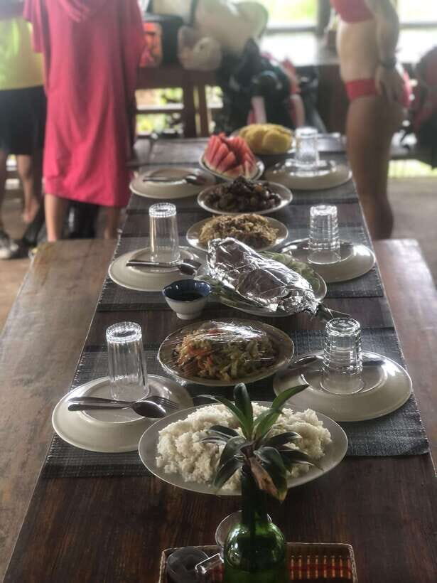 Coron: Dugong Watching with Sea Turtle and Coral Garden tour - Price check: is $155 worth it for dugongs and a coral garden?