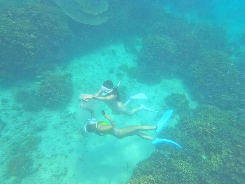 Coron: Dugong Watching with Sea Turtle and Coral Garden tour - Packing checklist: what to bring for dugongs, coral, and early mornings