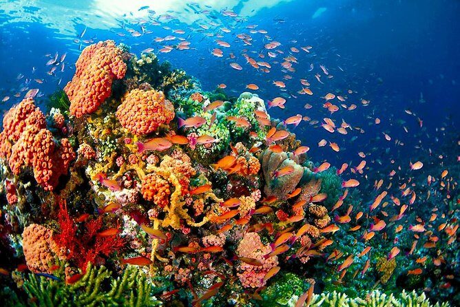 Coron Island Tour A (Shared Tour) - Price and What You Get for $37