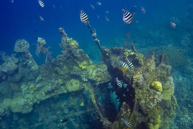 Coron Island Tour B (Private) - Key Points I’d Plan Around