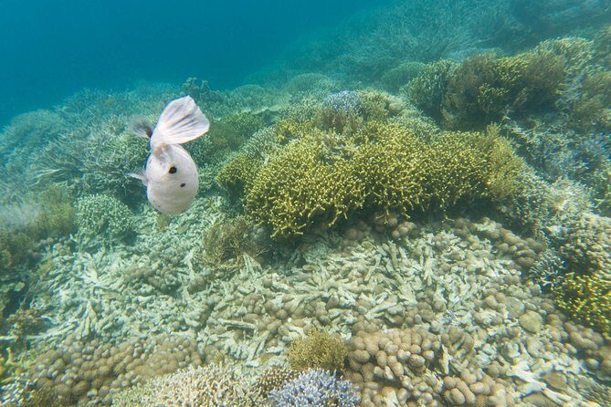 Coron Island Tour B (Private) - Price and Value: What $110 Buys You in a Private Day