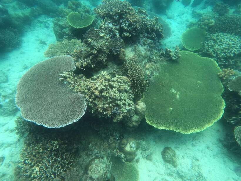 Coron: Kayangan Lake, Twin Lagoon, and Siete Pecados Tour - Atuan Beach and CYC Beach: the breaks that keep the day fun