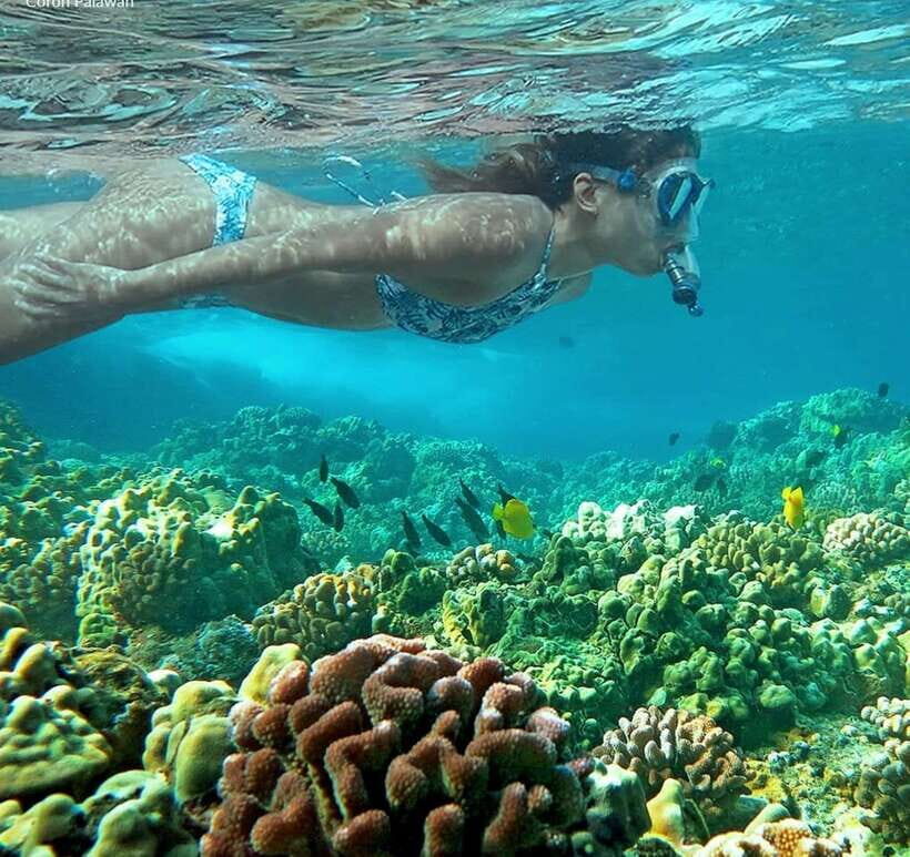 Coron Private Tour B: Barracuda Lake and Smith Beach - FAQ