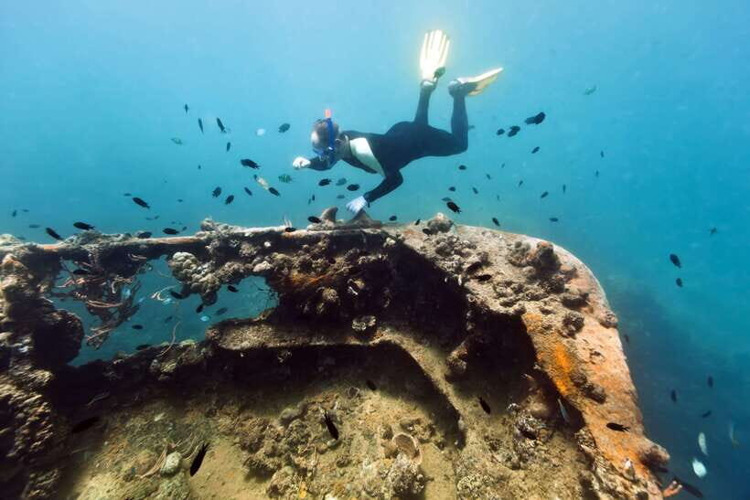Coron Private Tour D: Reef and Wrecks - Quick Hits: What Makes This Day Different