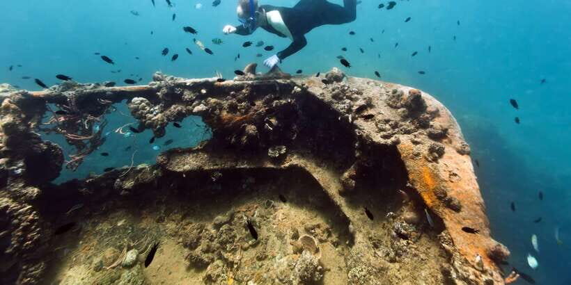 Coron Private Tour D: Reef and Wrecks - Food, Comfort, and What You’ll Want to Bring