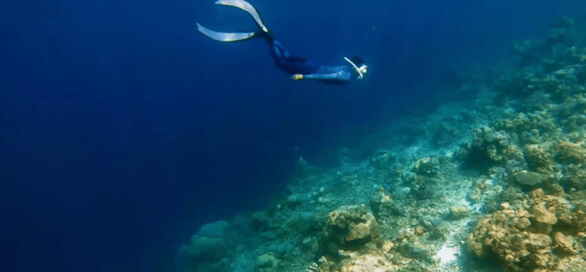 Coron: Pukaway Cave Underground Lake Tour w/Lunch (Shared) - Coral Garden snorkeling: how the marine time is paced