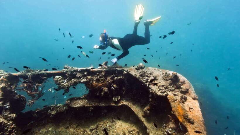Coron Reef and Wrecks Tour (Private Tour) - Quick take: what makes this Coron reef and wrecks tour work