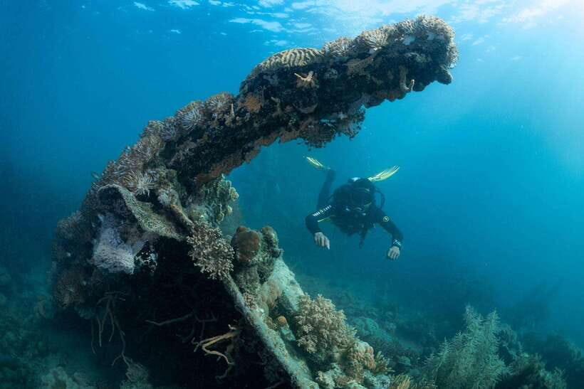 Coron Reef and Wrecks Tour (Private Tour) - Lusong Gunboat (and why the history talk matters)