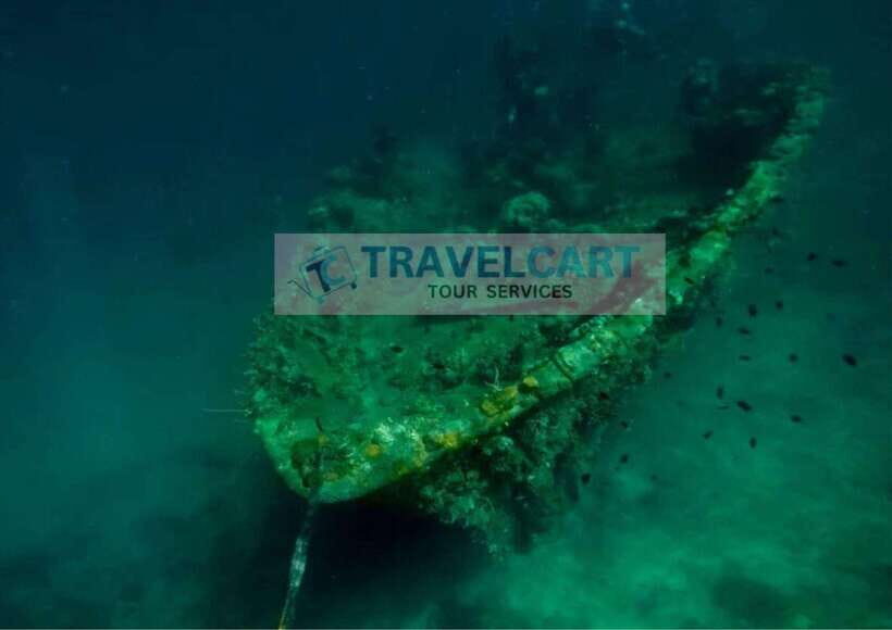 Coron Reef & Wrecks Tour - Key Highlights You’ll Care About
