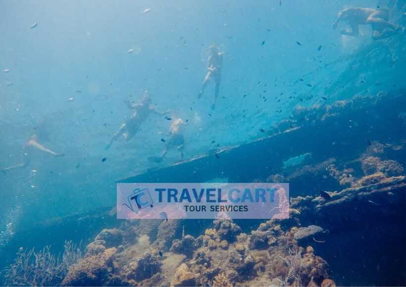 Coron Reef & Wrecks Tour - Gear Tips: Make Snorkeling Easier From Stop One
