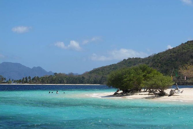 Coron Reefs & Wreck Tour (Shared Tour) - Price and Value: Why $63 Makes Sense Here