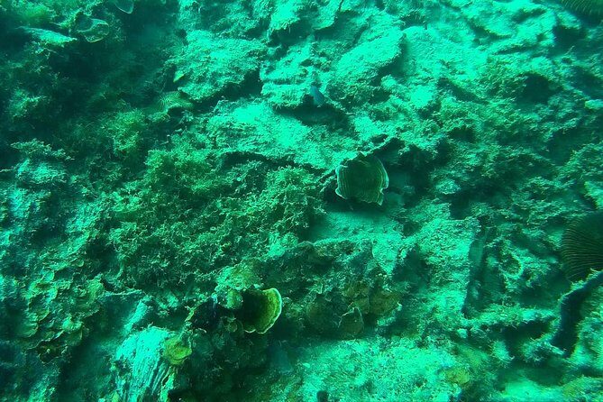 Coron Reefs & Wreck Tour (Shared Tour) - Pickup, Boat Setup, and Time on the Water