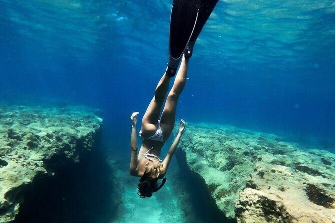Coron Shipwrecks and Lusong Coral Garden tour (Private / Shared) - Lusong Coral Garden: seeing real reef life up close