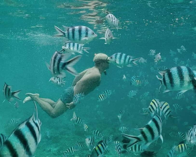 Coron: Super Ultimate 7 Destination with Lunch & Transfer - Twin Lagoons: When the Limestone View Becomes a Swim