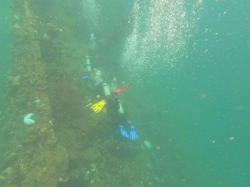 CORON:REEF AND WRECK - 2 JAPANESE WRECK AND PASS ISLAND TOUR - Lusong Gunboat Wreck: WWII metal turned into reef habitat