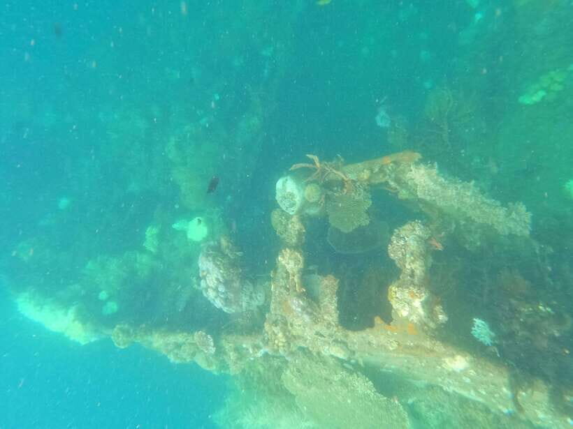 CORON:REEF AND WRECK - 2 JAPANESE WRECK AND PASS ISLAND TOUR - Lusong Coral Garden: the current makes it easier to glide
