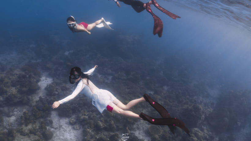 Discover Freediving in Boracay - Quick hits to know before you book
