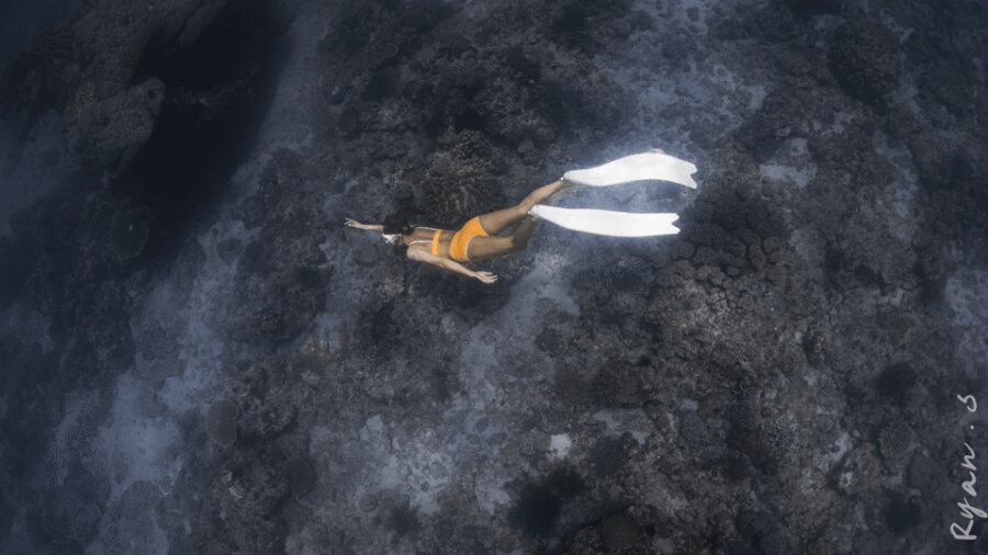 Discover Freediving in Boracay - Facilities and extras that make it easier after you get back