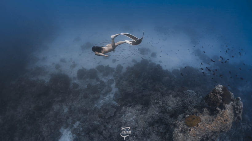 Discover Freediving in Boracay - What “Discover” means here: breath-hold skills for beginners and beyond