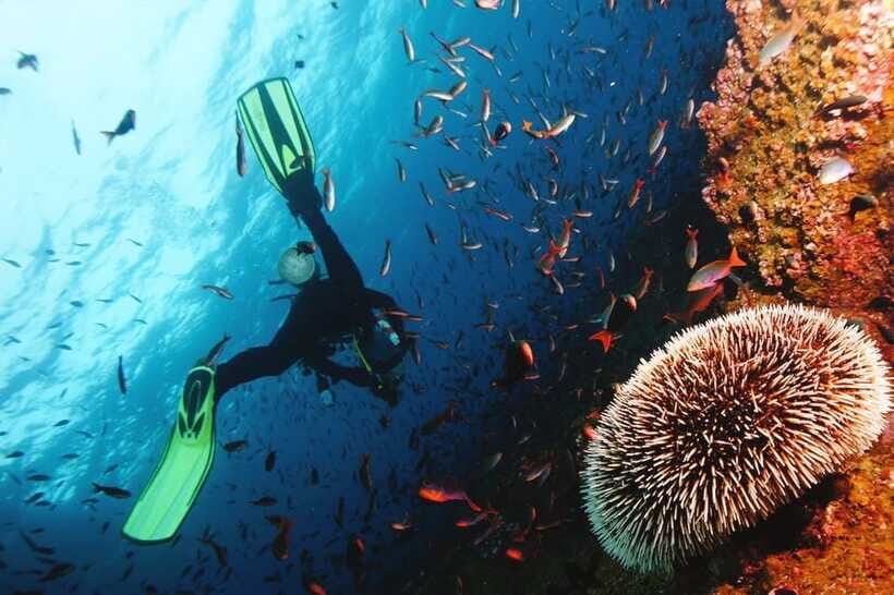 Discover Scuba Diving in Boracay - Safety approach: why beginners feel calmer here