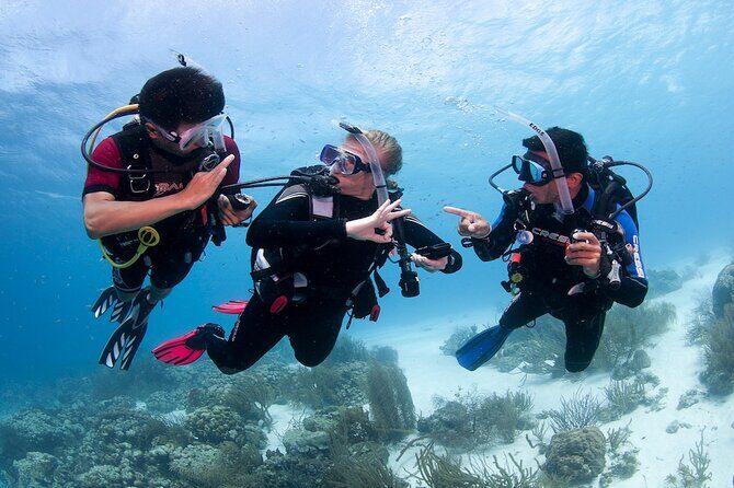 Discover Scuba Diving in Boracay with U/W Photo and Video - The PADI Discover Scuba format (built for first-timers)