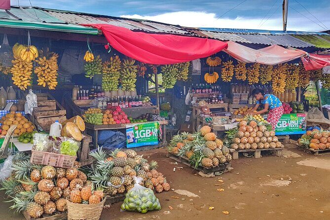 Discover Tagaytay's Countryside: Half-Day Sightseeing Tour - Price, Time, and What You Actually Get for $85